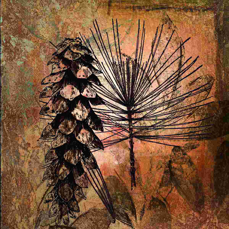 Pinecone - reproduction sur toile tendue, L 12 po x H 12 po