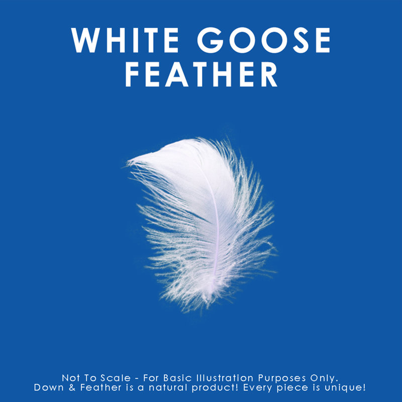 Quilted White Goose Feather King Size Soft Pillows - 2 Pack