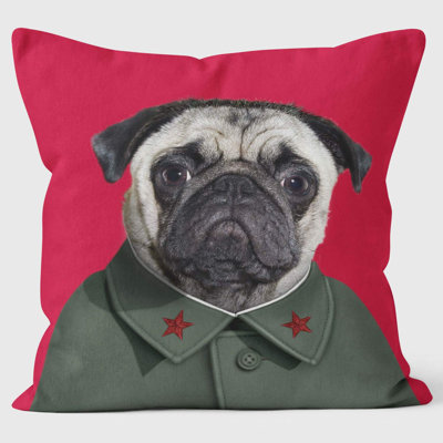 China - Pets Rock Cushion