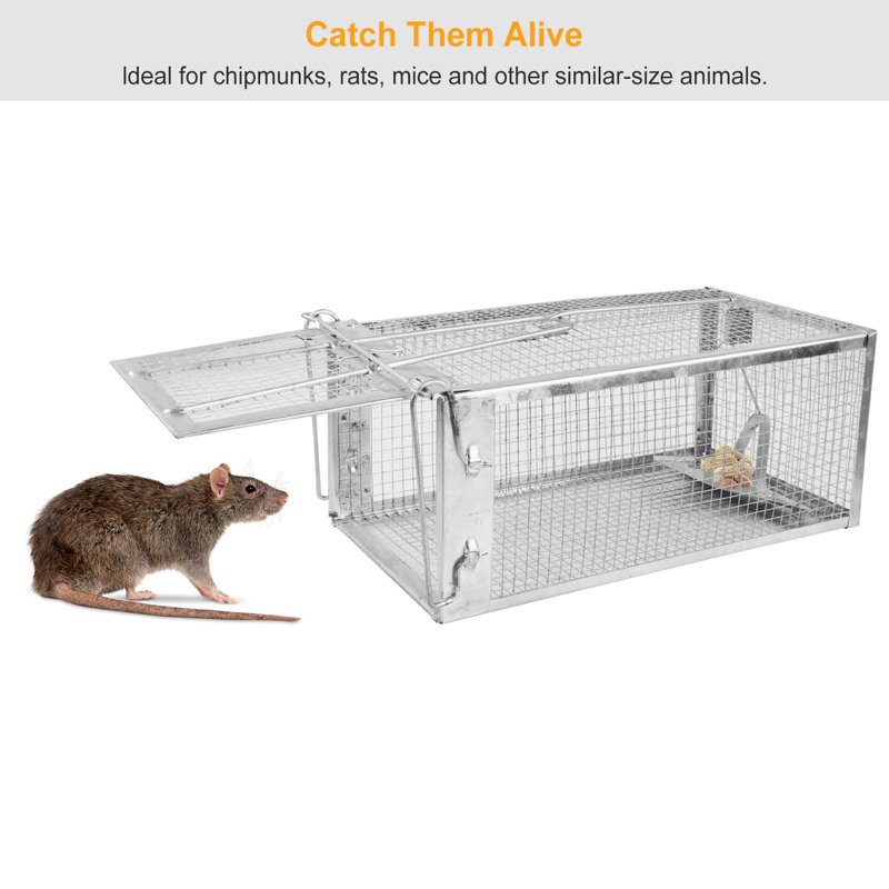 Cage à piège à souris 10,75x5,43x4,41po Humane