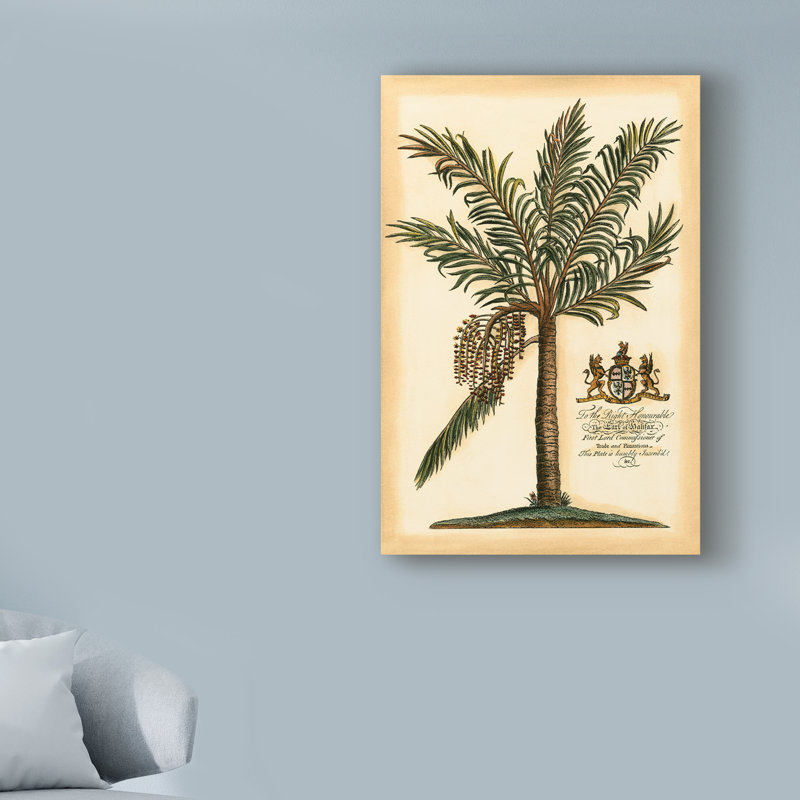 « british colonial palm ii », reproduction d’impression sur toile tendue, H 19 po x l 12 po x P 2 po