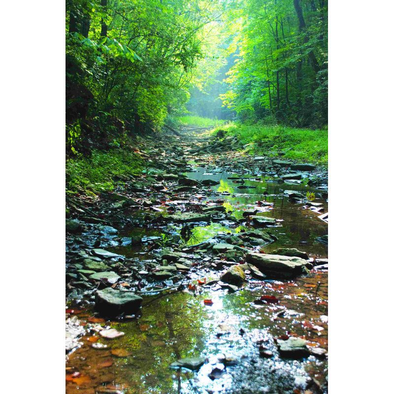 Babbeling Brook - impression sur toile tendue, H 18 po x l 12 po