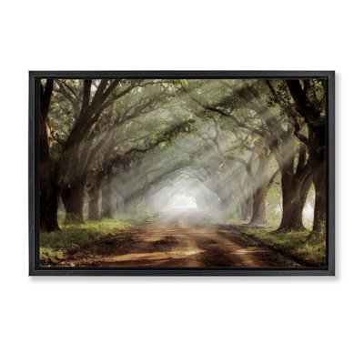 Cadre flottant Sunlit Evergreen Grove, design par Mike Jones