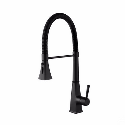 Kitchen Faucet With Pull Down Sprayer
