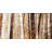 Tree Trunks - Rustic Framed Canvas for Home Decor | Landscapes