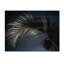 «Palm Leaf Jungle Calm - Palmiers et palmiers», art sur bois de pin naturel-1030808714