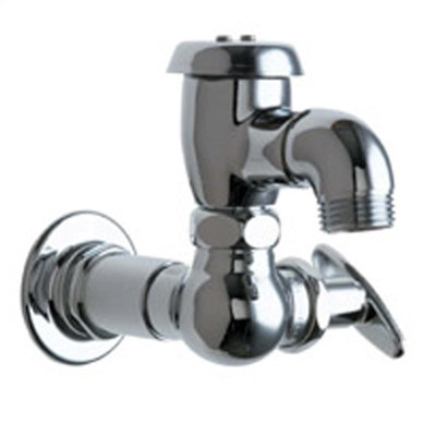 Wall Mount Garage Faucet