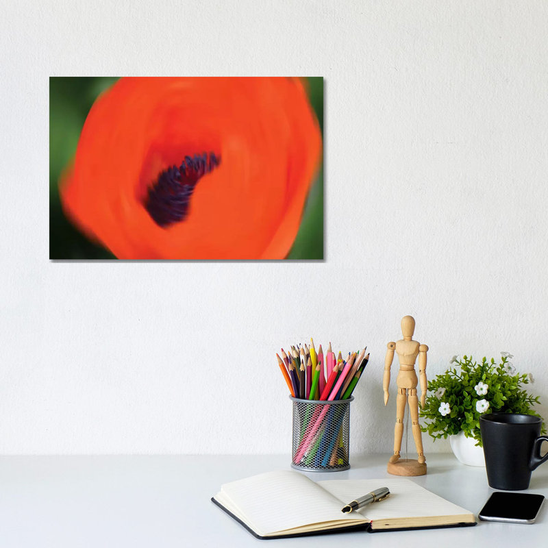Orange Poppy by Savanah Plank - Gallery-Wrapped Canvas Giclée on Canvas, 20.32 cm H x 30.48 cm W, Canvas