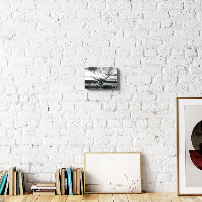 «Black and White Longhorn Cow I», photographie sur toile tendue, H 8 po x l 12 po, Unframed, Sans cadre