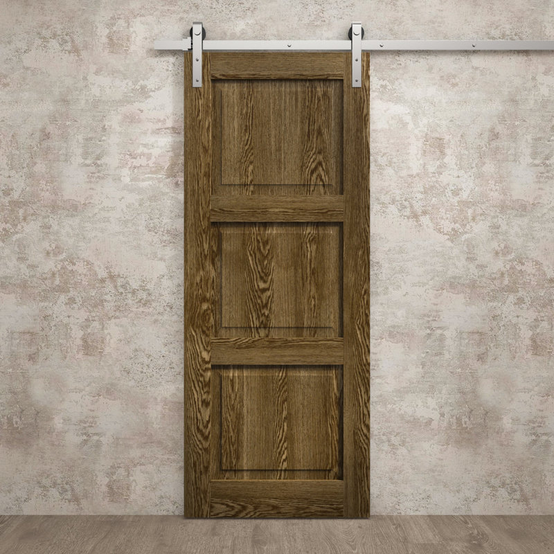 Porte de grange moderne 24 x 96 pouces Ego 5010 Chêne marbré Rail de 6,6 pi Quincaillerie robuste Ensemble de portes intérieures à panneaux pleins