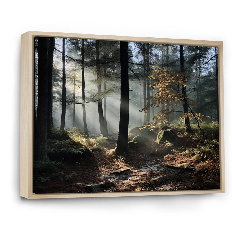 " Pine Forest Autumn Scenery ", 34" H x 44" W x 1.5" D, Natural Floater Framed