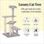Cat Activity Tower Revolving Stair Cat Tree