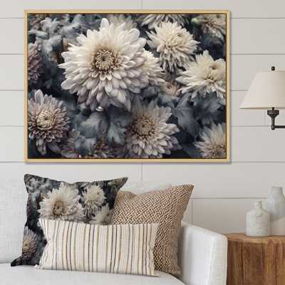 " Cream Grey Chrysanthemums Field "