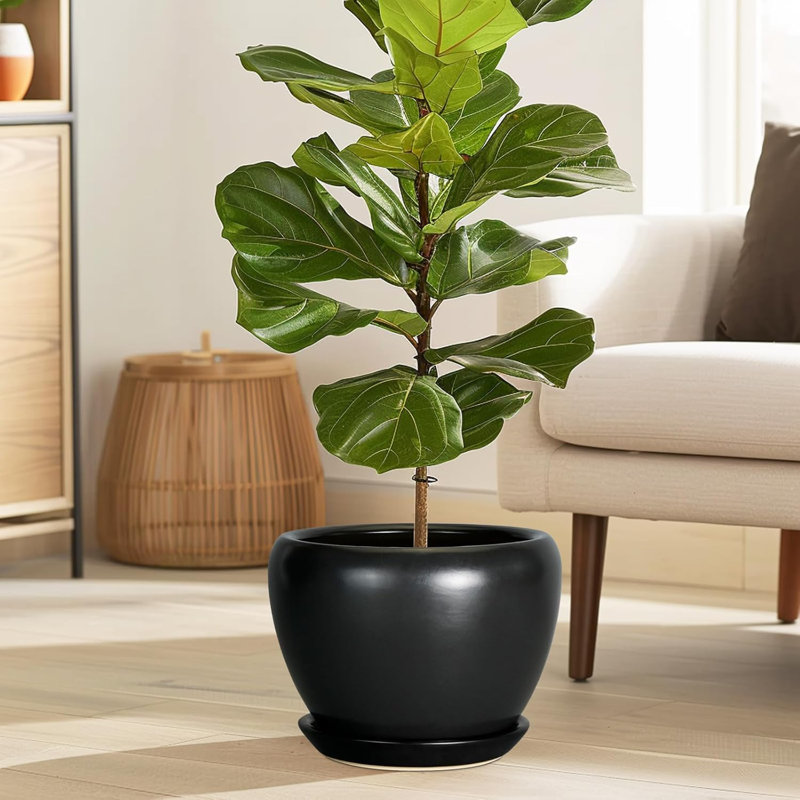Pot à fleurs 8 "en céramique avec trou de drainage et soucoupe noir