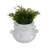 Ceramic Tapered Bubble Planter-2080829553-2080829554-2080829557