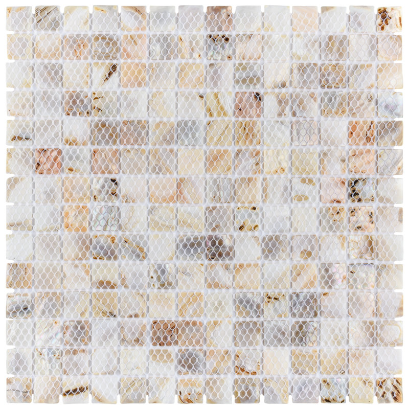 Conchella Square Natural 12" x 12" Natural Shell Mosaic Tile