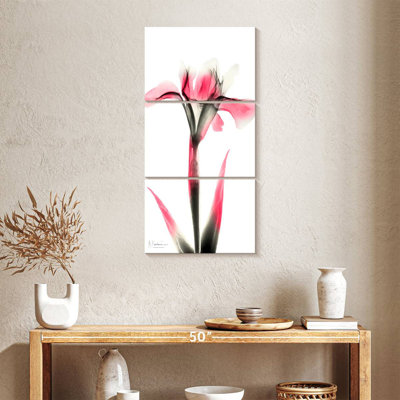 Pink Infused Iris I