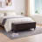 Asdrubale 50.3" Wide Faux Leather Upholstered Storage Bench-448959333