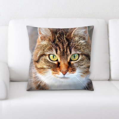 Microsuede Throw Pillow