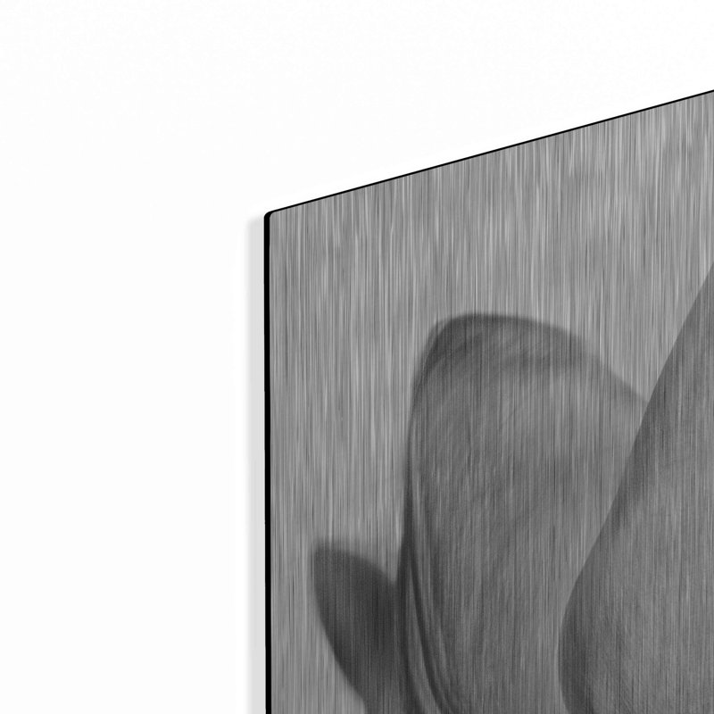 "Tulipes translucides VI" par Debra Van Swearingen, H 24 po x l 36 po
