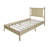 Paitynn Kids Twin Platform-1228174329