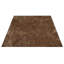 TAPIS EN POLYESTER ÉCOLOGIQUE TUFFÉ À LA MAIN - Couleur beige | Conception solide