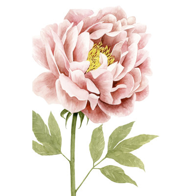 Peony I by Grace Popp - Painting Print