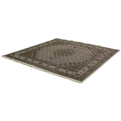 Terrice Southwestern Area Rug in Ivory