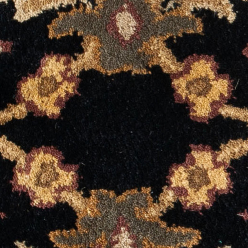 Tapis oriental multicolore en laine touffeté à la main Amabel, Rectangle 5 pi x 8 pi