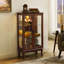 Armoire lumineuse avec tablettes réglables Curio Cabinet-1476983374