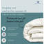 Dreamtime Comforter-729480614