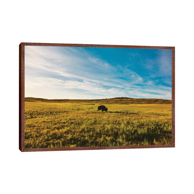 King Of The Hill by Bethany Young - Print on Canvas
