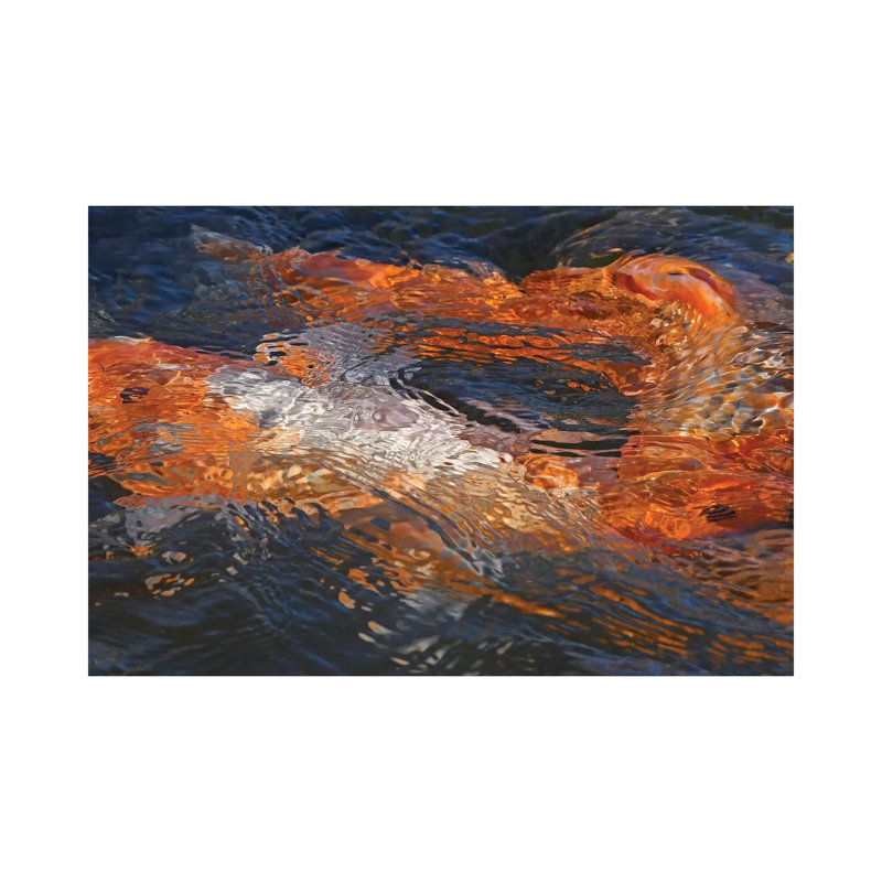 Koi Colours Abstract by Brian Wolf - Wrapped Canvas Print, 45.72cm H x 66.04cm W