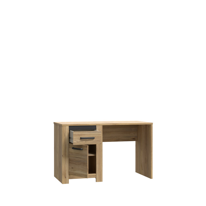 Bergenfield 120Cm W Rectangle Computer Desk with Cabinet