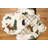Aleister 100% Cotton Animals/Nature Square Napkin