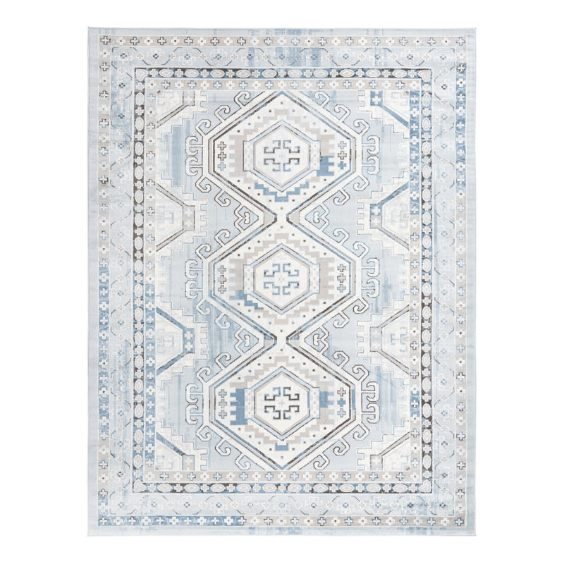 Charlotte Oriental Indoor Rug, Rectangle 9' x 12'