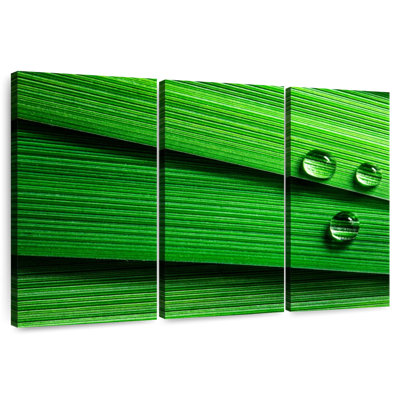 Harnek Droplets On Leaf