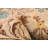 One-of-a-Kind 9'1" X 12'1" New Age Wool Area Rug in Khaki