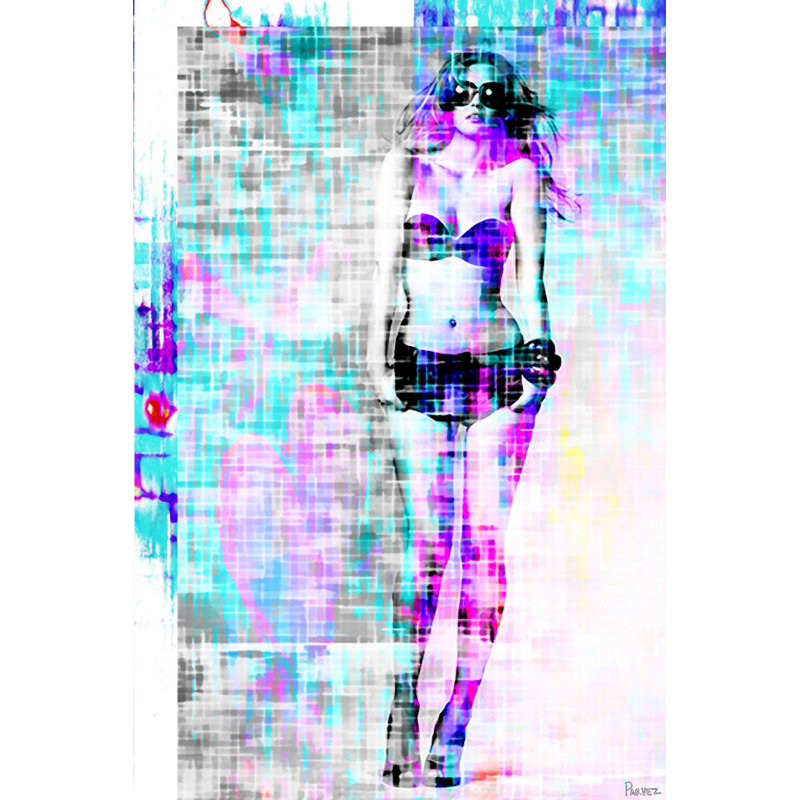 Parvez Taj - Wrapped Canvas Print, 91cm H x 61cm W x 5cm D