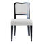 Chaise d'appoint rembourrée (ensemble de 2)-1699391105