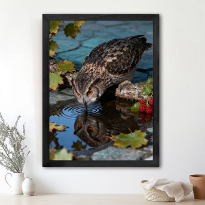 Reproduction d'art encadrée noire rétro d'un hibou debout sur une branche buvant de l'eau