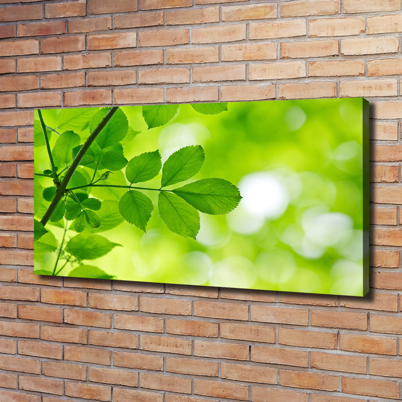 Green Leaves - Wrapped Canvas Print