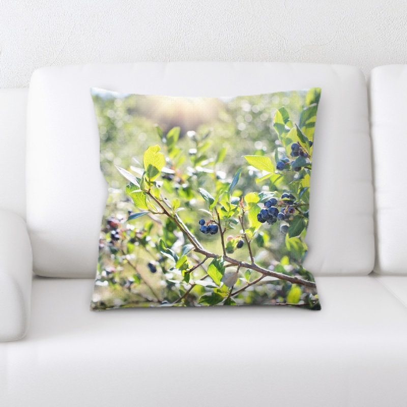 Coussin blueberries