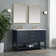 Vicini 54" Double Bathroom Vanity Set