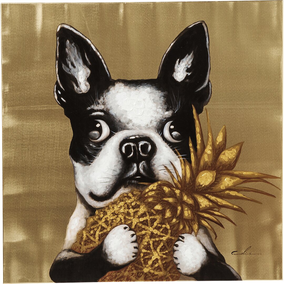 Bild Berührter Hund mit Ananas 80x80cm