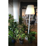 72.8'' White Traditional Floor Lamp with Outlet