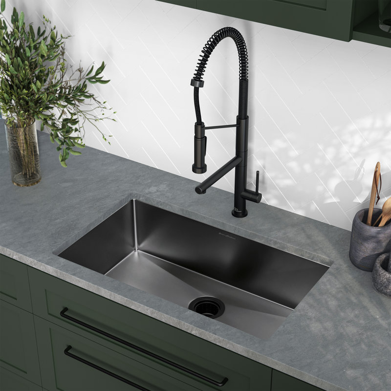 Rivage 30 x 18 Stainless Steel, Single Basin, Undermount Kitchen Sink, Black