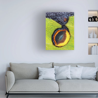 Jimmy Hoffman Eyespot Canvas Art