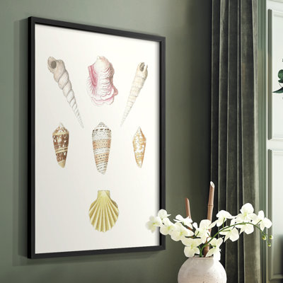 Pastel Knorr Shells I, reproduction encadrée - bois massif
