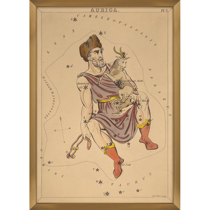 Auriga Print by Grand Archives